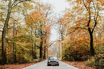 Oldtimer Mini Cooper op de weg in een herfstbos | Veluwe, Nederland van Trix Leeflang