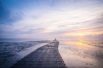 Volg het pad naar het wad