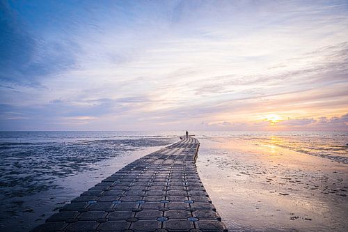 Volg het pad naar het wad