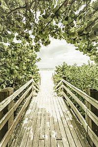 Bridge to the Beach | Vintage van Melanie Viola