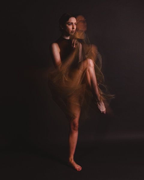 Ballerina in motion with slower shutter speed 04 by FotoDennis.com | Werk op de Muur