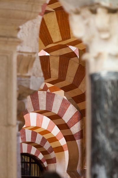 Mezquita by Cees van Valen