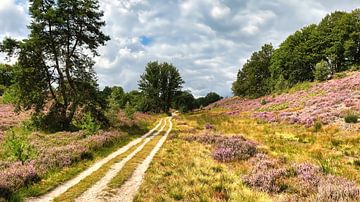 Heide landschap met wandelpad van Digital Art Nederland