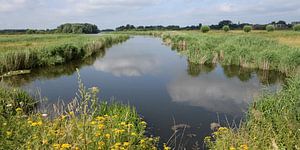 Typically Dutch landscape: floodplains of the Lower Rhine by Rini Kools