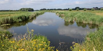 Paysage néerlandais typique : plaines inondables du Rhin inférieur sur Rini Kools