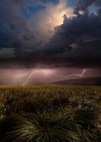 Zomerlicht