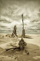 Beach Debris