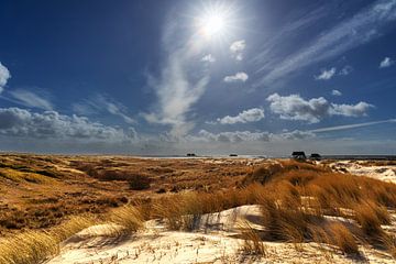 Vue sur les dunes