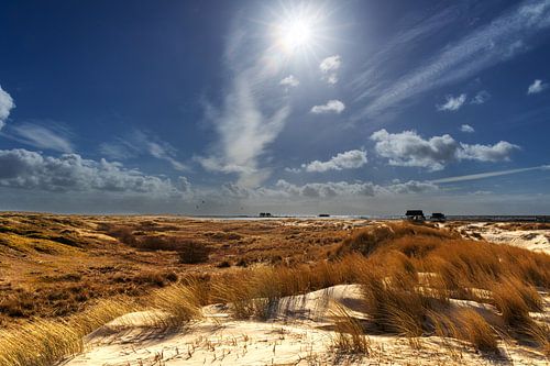 Dune view by Annett Mirsberger