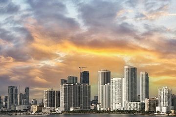 Miami, skyline van Tilly Meijer