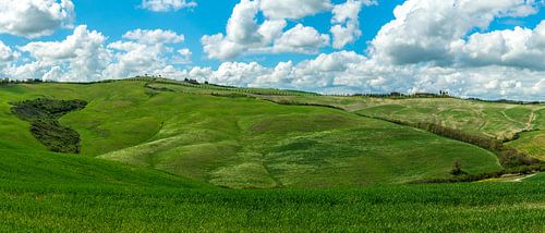 Blue on Green, part IV