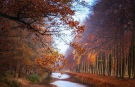 Herfstkleuren von Hilda van der Lee
