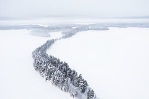Luftaufnahme von Bäumen im Schnee auf einem zugefrorenen See