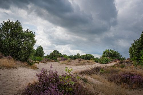 Heide Mantingerzand