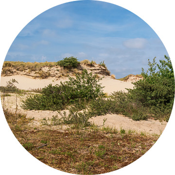 De mooie duinen van Meijendel bij Wassenaar van Mirjam Welleweerd