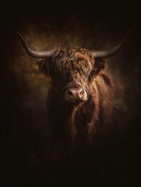 Scottish Highland cattle in dim light | Fine art Animal portrait by Lauren Wilde