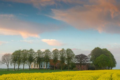Zonsondergang koolzaadveld met traditionele borg