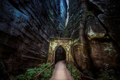 Ein geheimnisvolles Tor von Cynthia Hasenbos