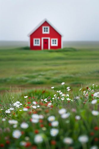 Rode hut in het bloeiende veld