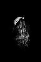 girl behind black and white