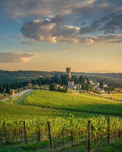 Abtei Badia a Passignano und die Chianti-Weinberge, Toskana, Italien