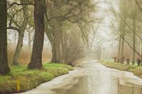 Dromerig Linschoten in de winter