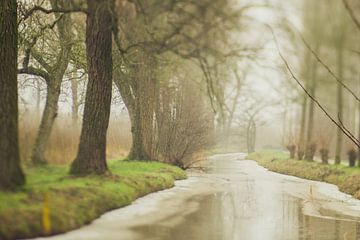 Dreamy Linschoten in the winter