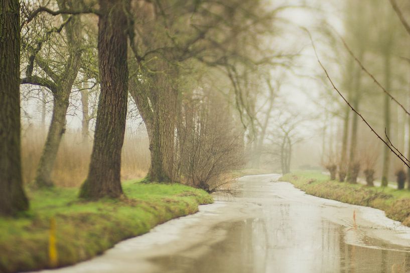 Dreamy Linschoten in the winter by Gabry Zijlstra