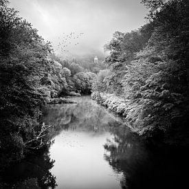 The Wupper near Müngsten by Dirk Wüstenhagen