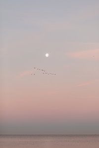 Rosa Magie bei Sonnenaufgang am Ijselmeer. von Joke van Veen