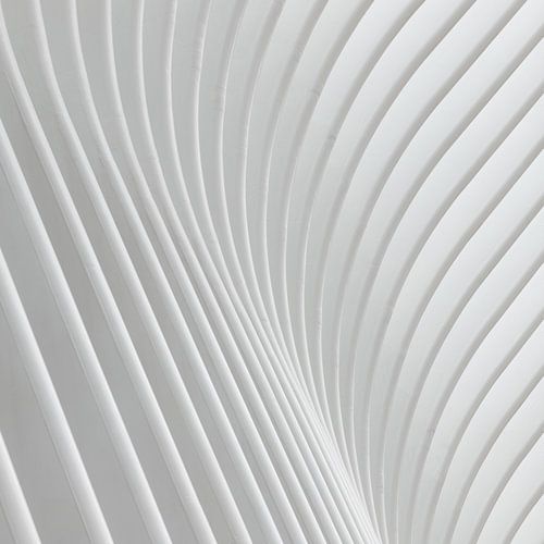 Detail Oculus New York 1