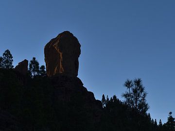 A l'ombre du Roque Nublo sur Timon Schneider