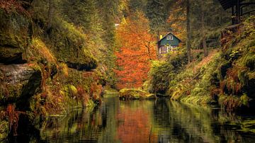 Autumn.... by Peter Korevaar