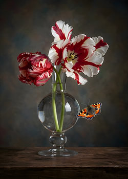 Royal Bloom - Nature morte moderne
