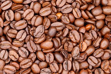 Geroosterde koffiebonen van de-nue-pic
