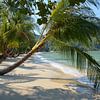 Plage de sable blanc, mer azur et palmier à Koh Kood, Thaïlande. sur My Footprints