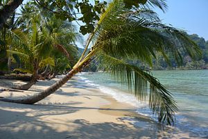 Plage de sable blanc, mer azur et palmier à Koh Kood, Thaïlande.
