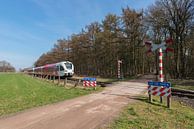 Onbewaakte spoorwegovergang in het oosten van Nederland van Tonko Oosterink thumbnail