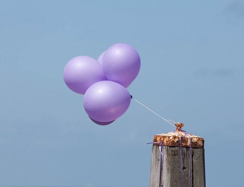 Zomaar , Roze ballonnen by Erik Nienhuis