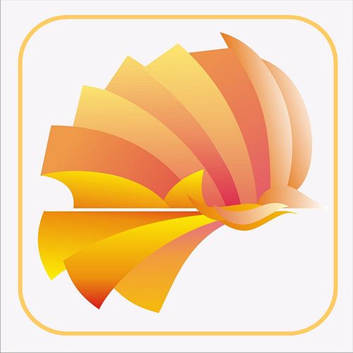 Oiseau coloré en vol