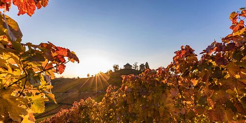 Chapelle funéraire et vignobles en automne à Stuttgart