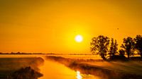 Dawn
