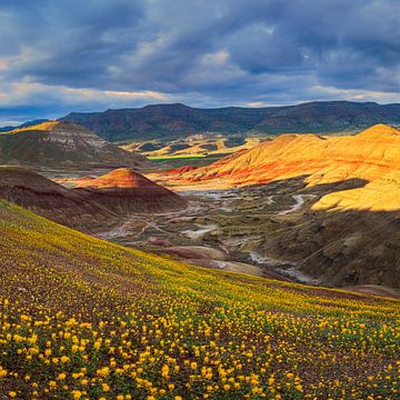 Sonnenuntergang in den Painted Hills, Oregon