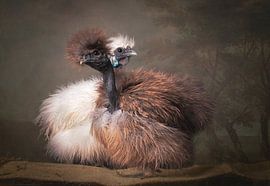 Meet the strippers! van ramona stoker