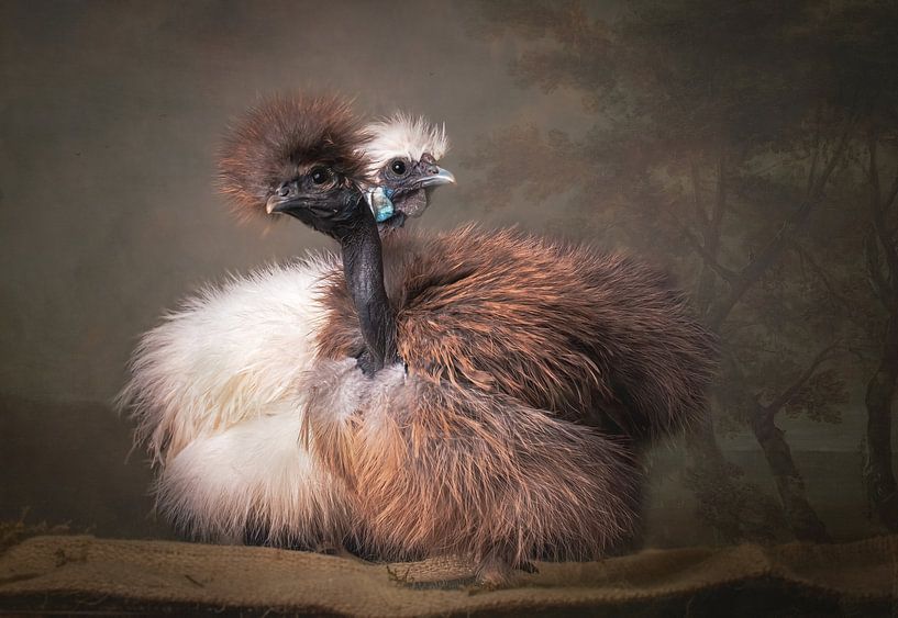 Meet the strippers! by ramona stoker