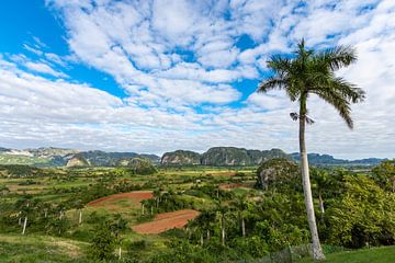 Valle de Viñales, Cuba