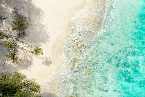 Aerial Summer - Seagreen Beach