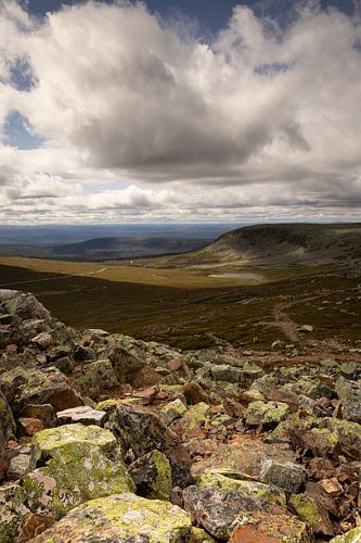 View across the valley in mountain scenery in the Städjan-Nipfjället nature reserve in Dalarna, Sweden
