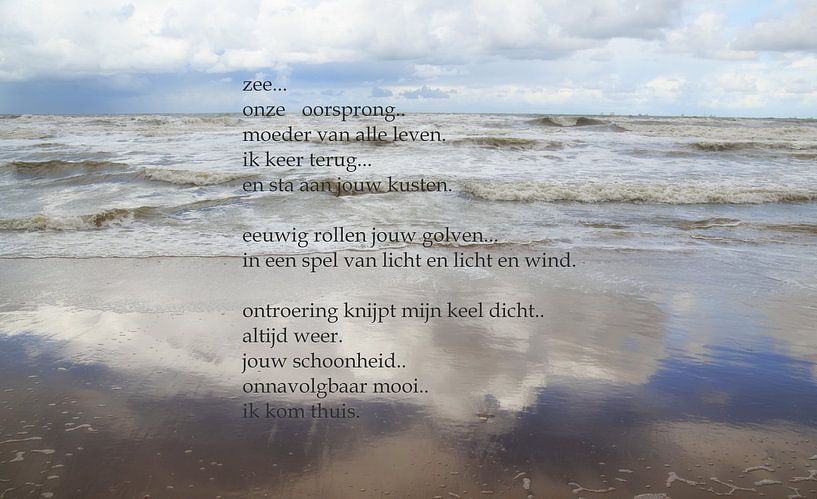 origin by hanny bosveld
