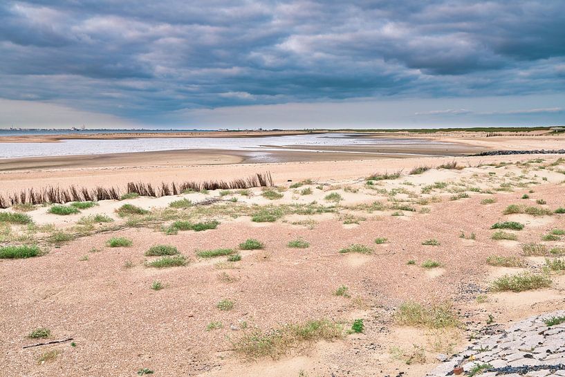salt marshes beach and dunes Prins Hendrik Zanddijk Texel by eric van der eijk